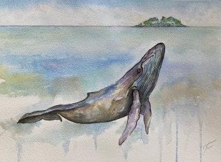 Baleine à La Réunion - Peintures et aquarelles