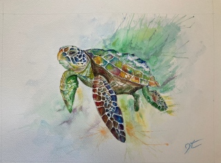 Tortue du lagon - Peintures et aquarelles